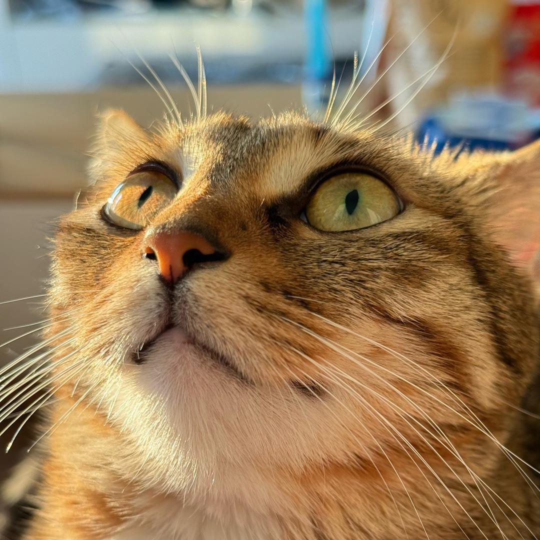 AAA水泥混凝土大思哥