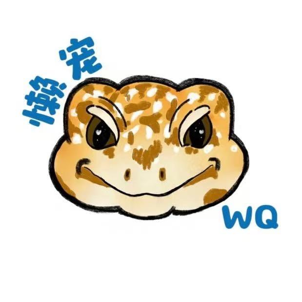 懒宠WQ爬宠店1号