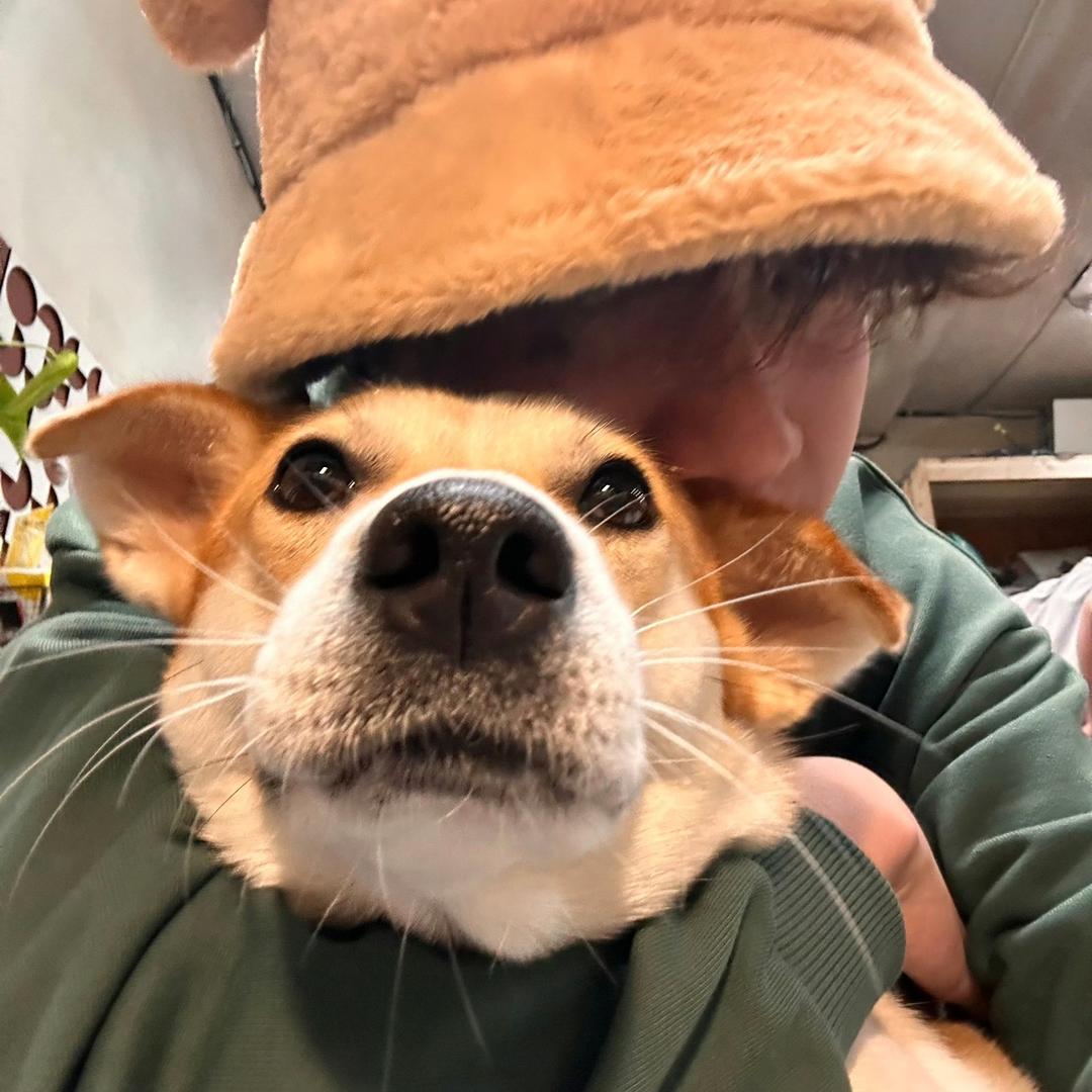 等等DDZZ