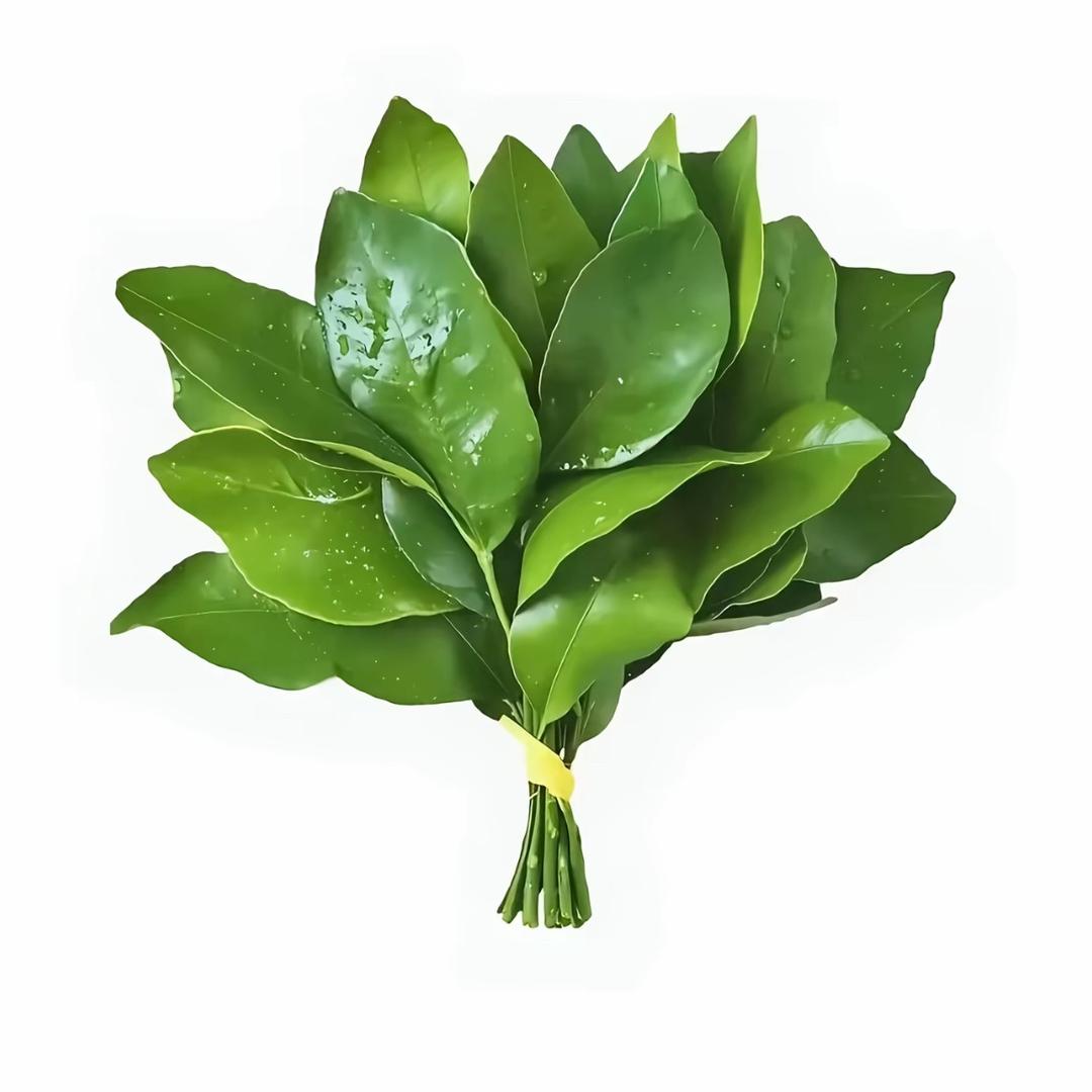 張  兰  兰.