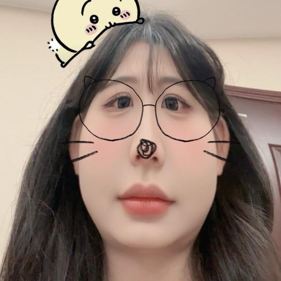 关于小猫