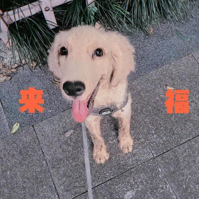 来福扫地机耗材店