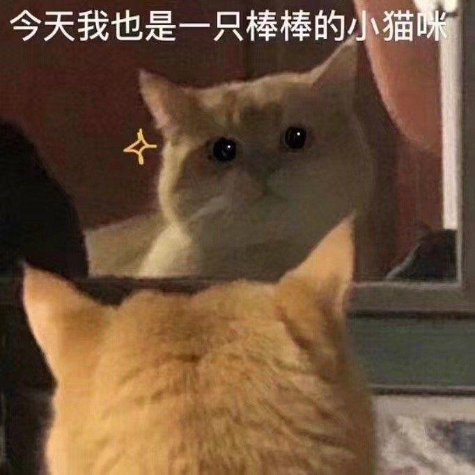 蓝胖儿🌈