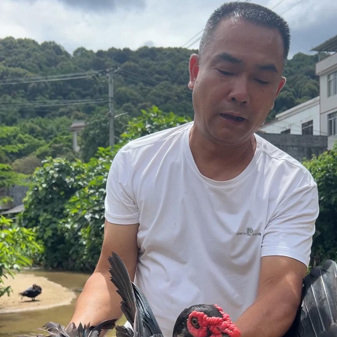 北流市大山土鸡土鸭土鹅店