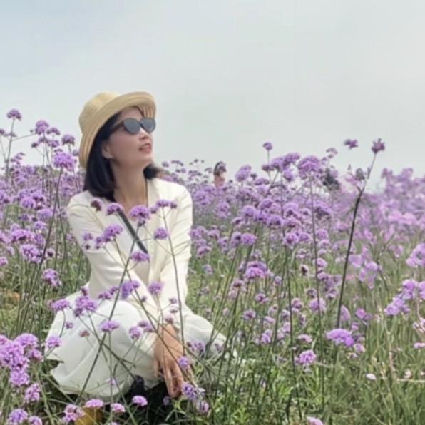 不吃香菜的阿姨🍀