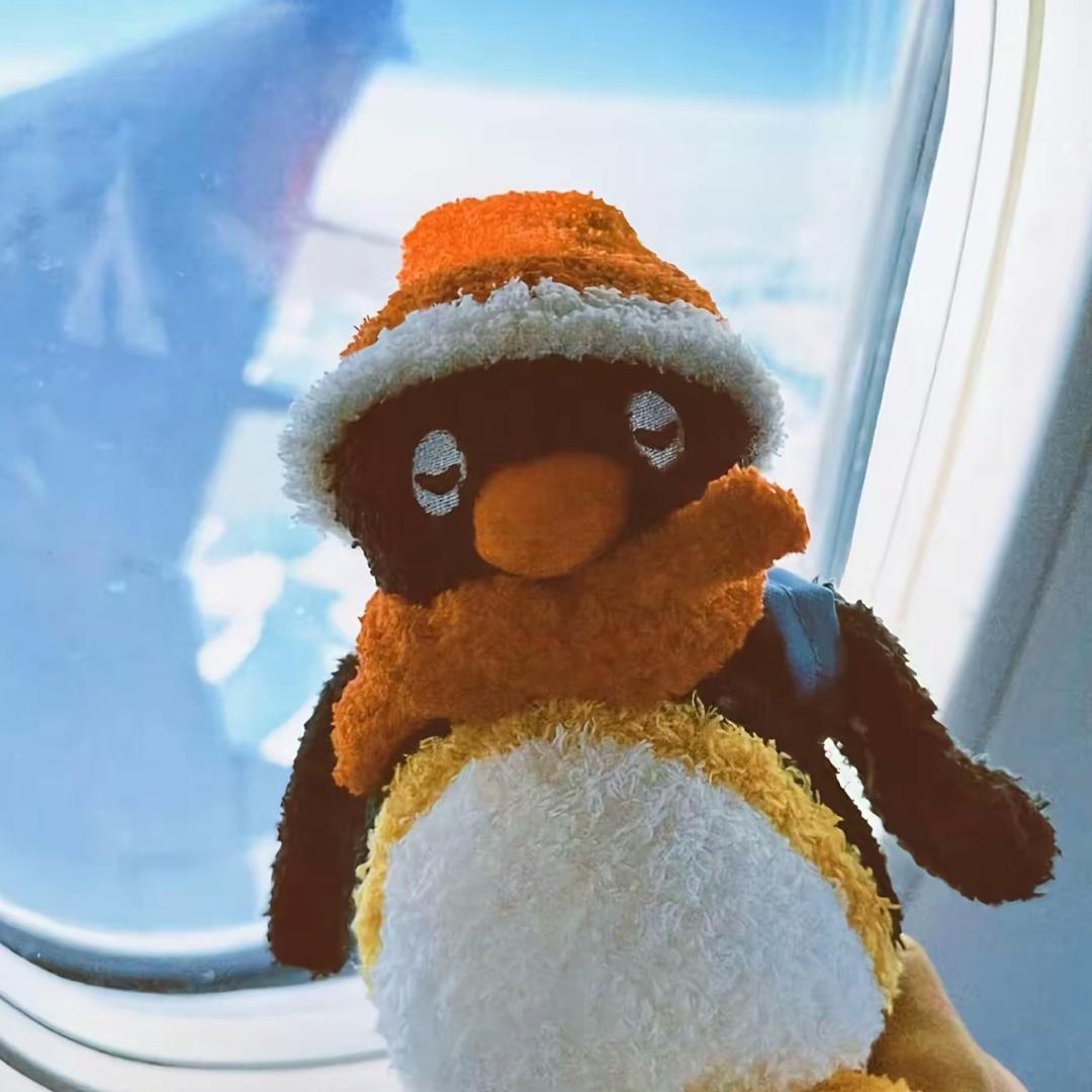 。。。。。。。。