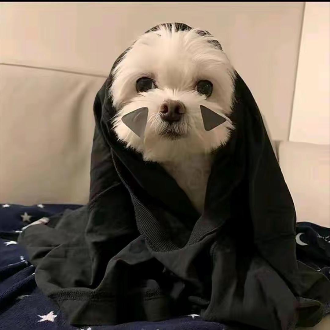 一曼儿🙈