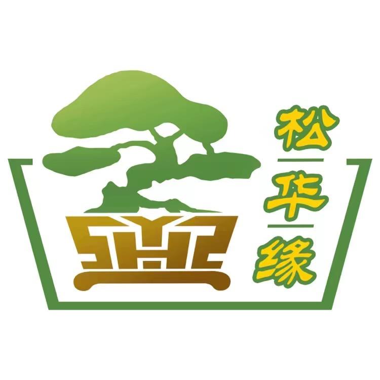 松华缘盆景