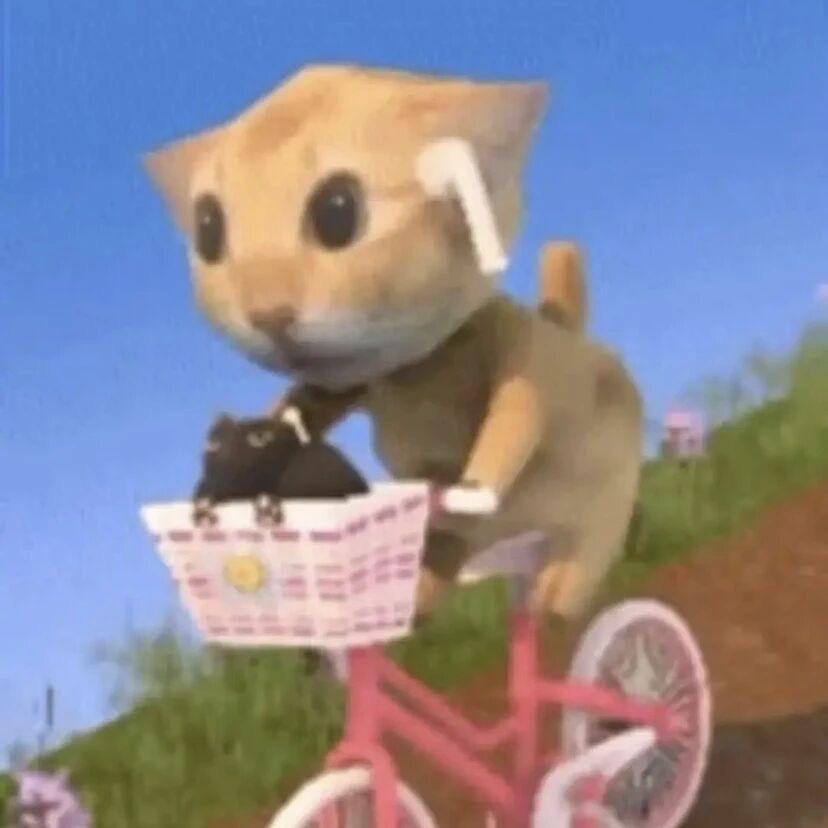 我就是如此的烦人