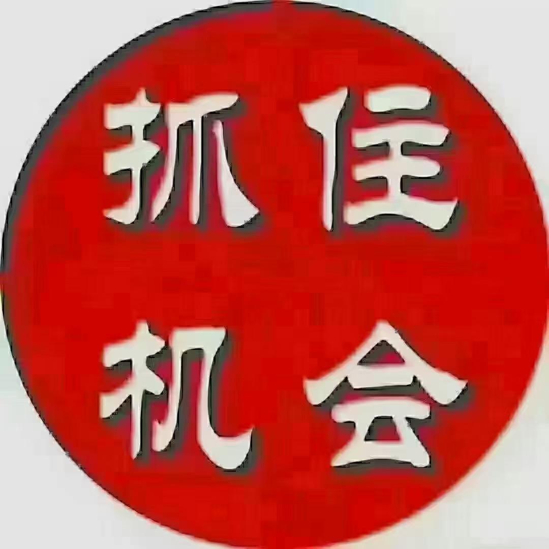 朱哥