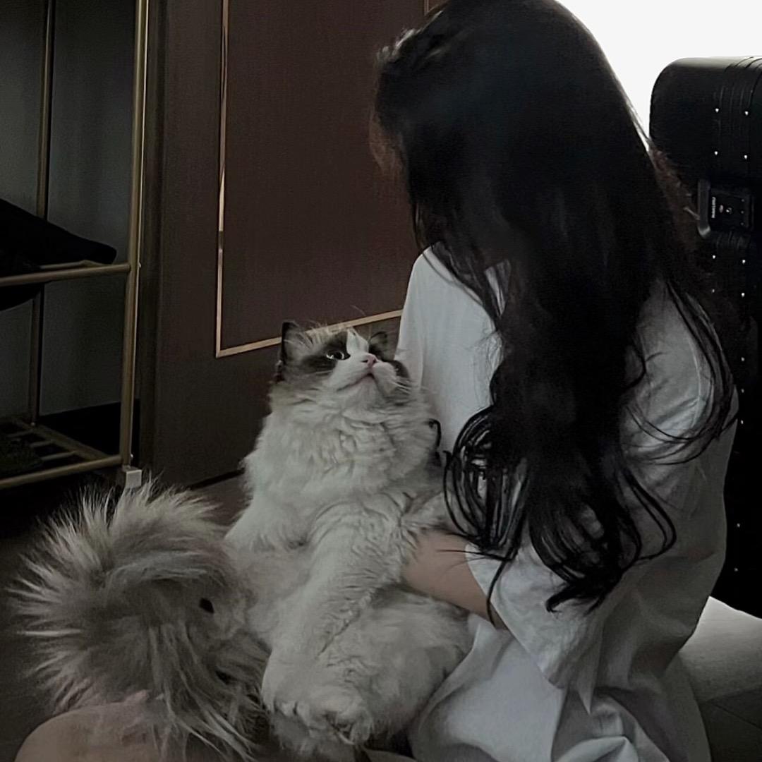 肥嘟噜