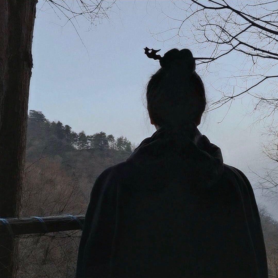 陆居士