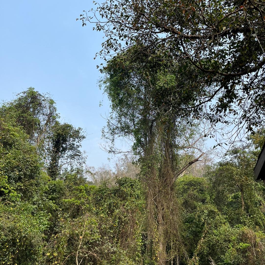 加油加油