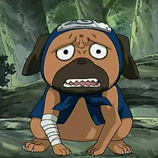 大脸猫爱吃鱼呀