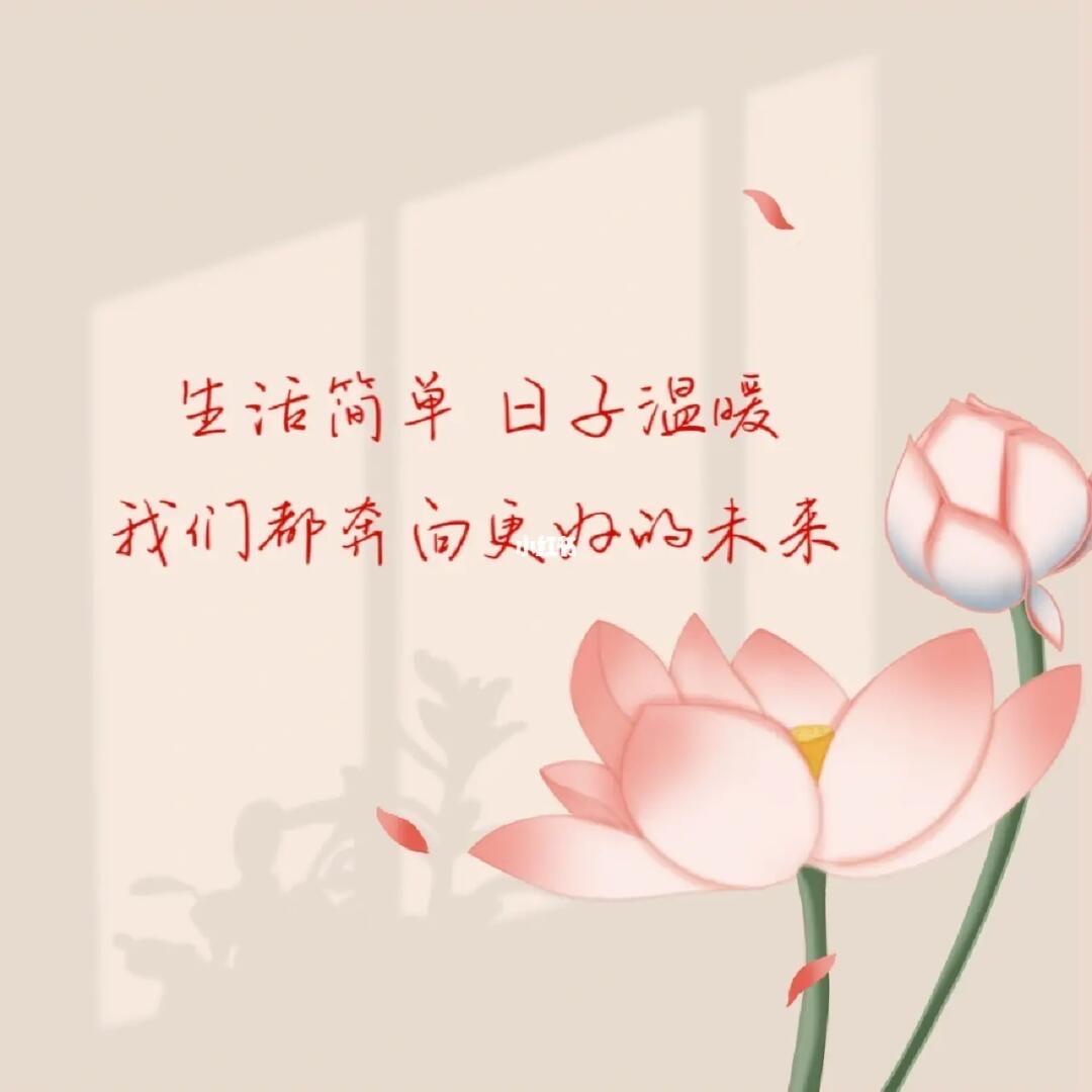 静心