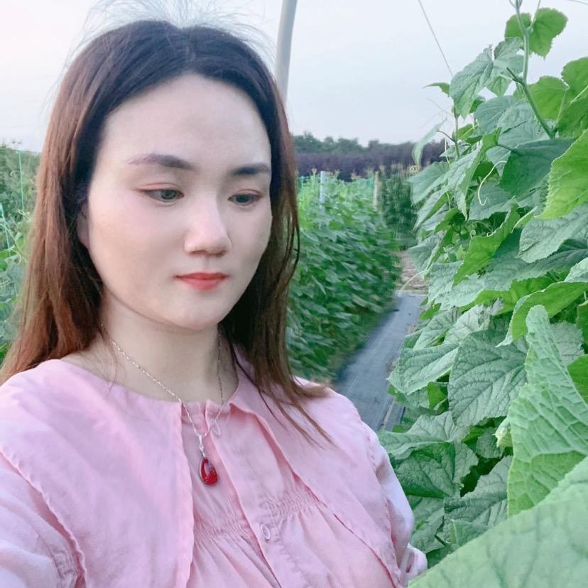 牛多多厂家-黄瓜种植-燕子