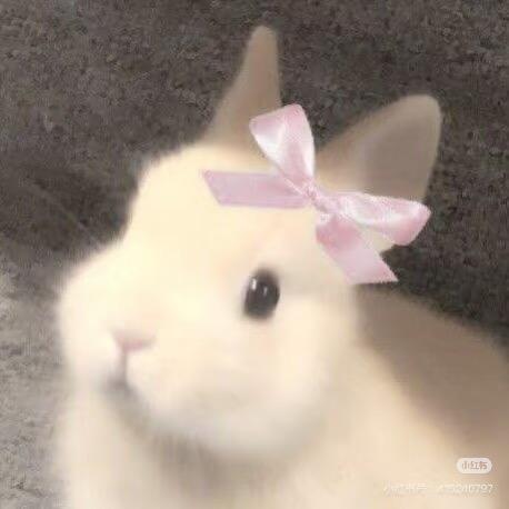 香辣姬翅