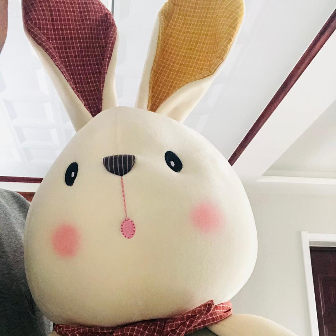 爱玩游戏的磊磊