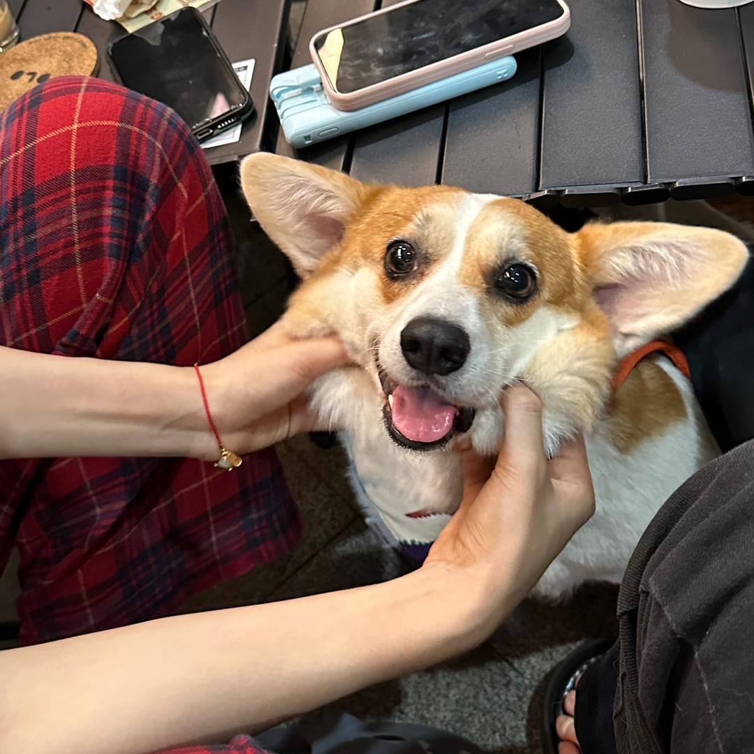 Nini