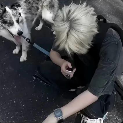 伤心的🐭
