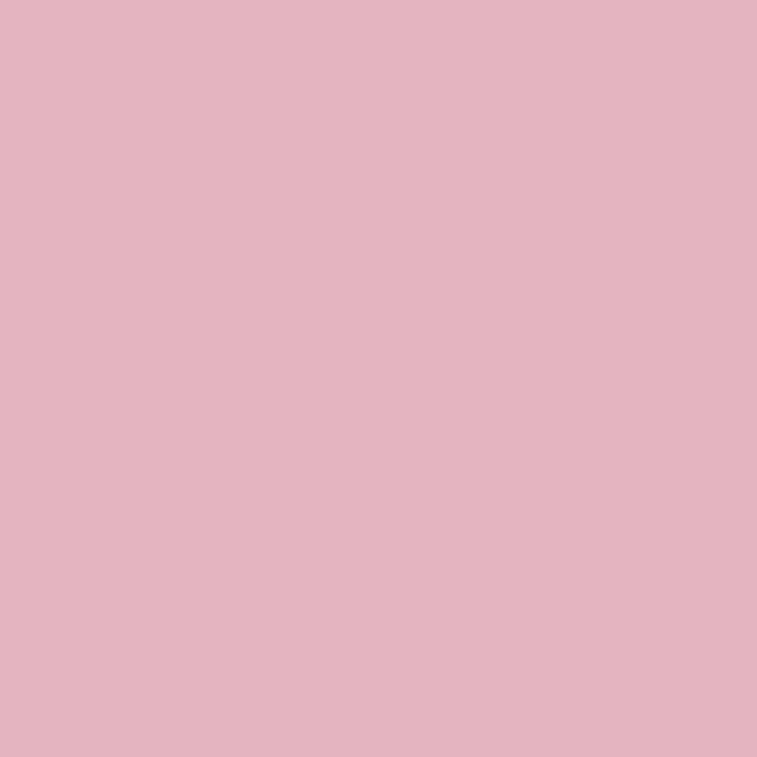 inㅤ
