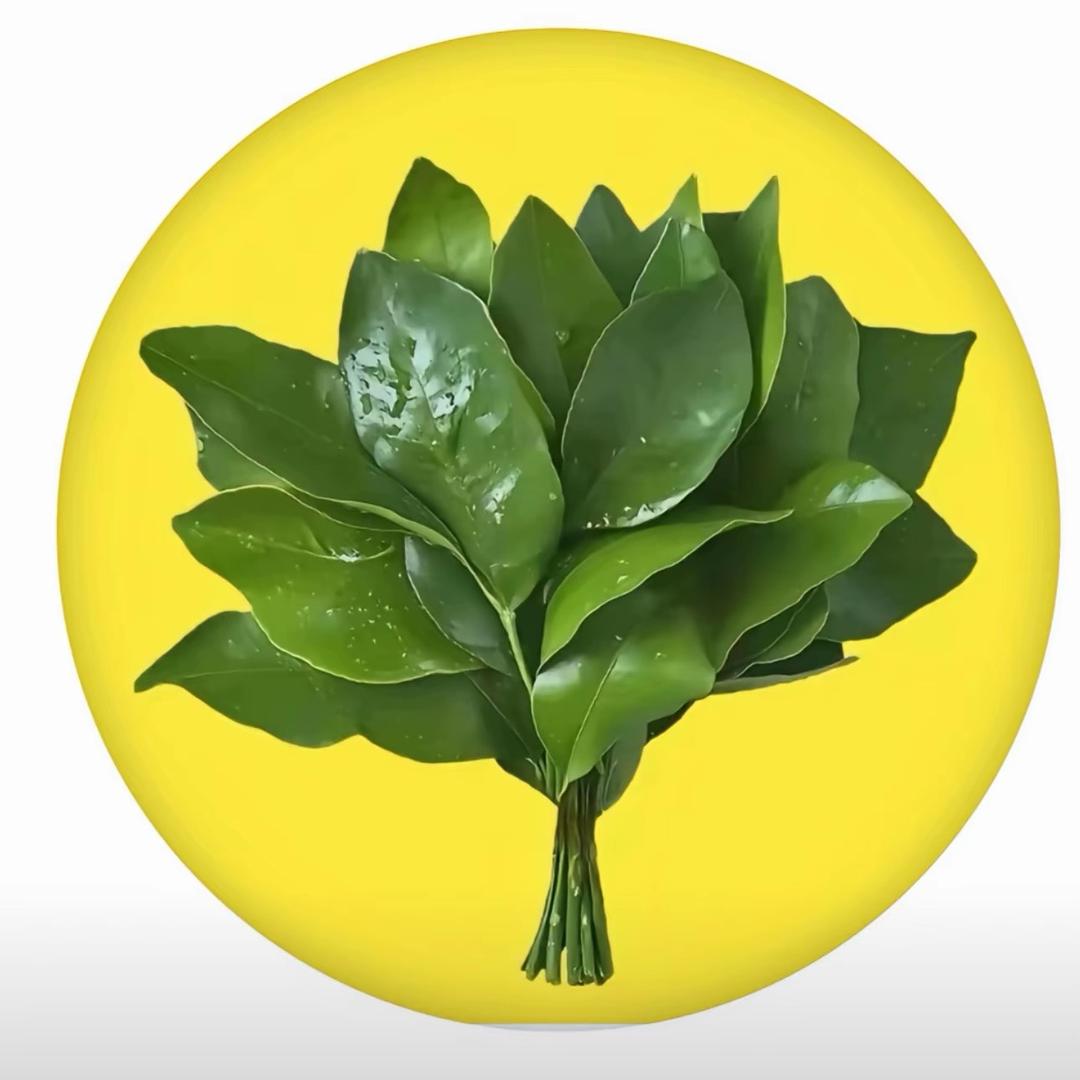 爱财爱己风生水起