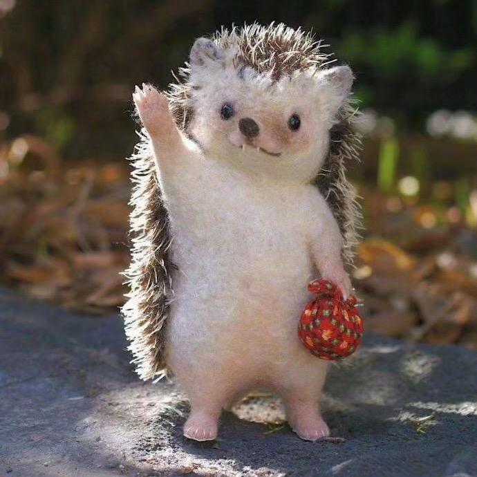 小火火限定指南