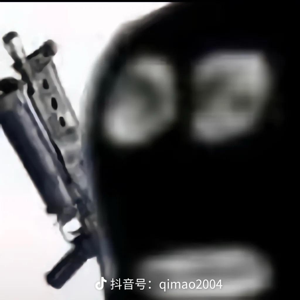 假狸狐聪
