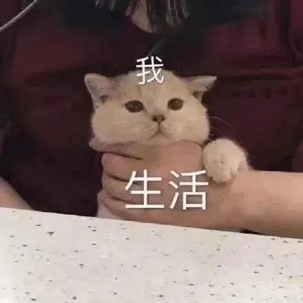 小邵再吃一口