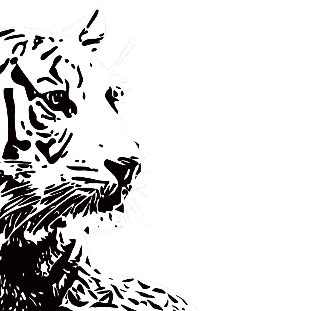 佛山迈菲斯瓷砖 招商中心