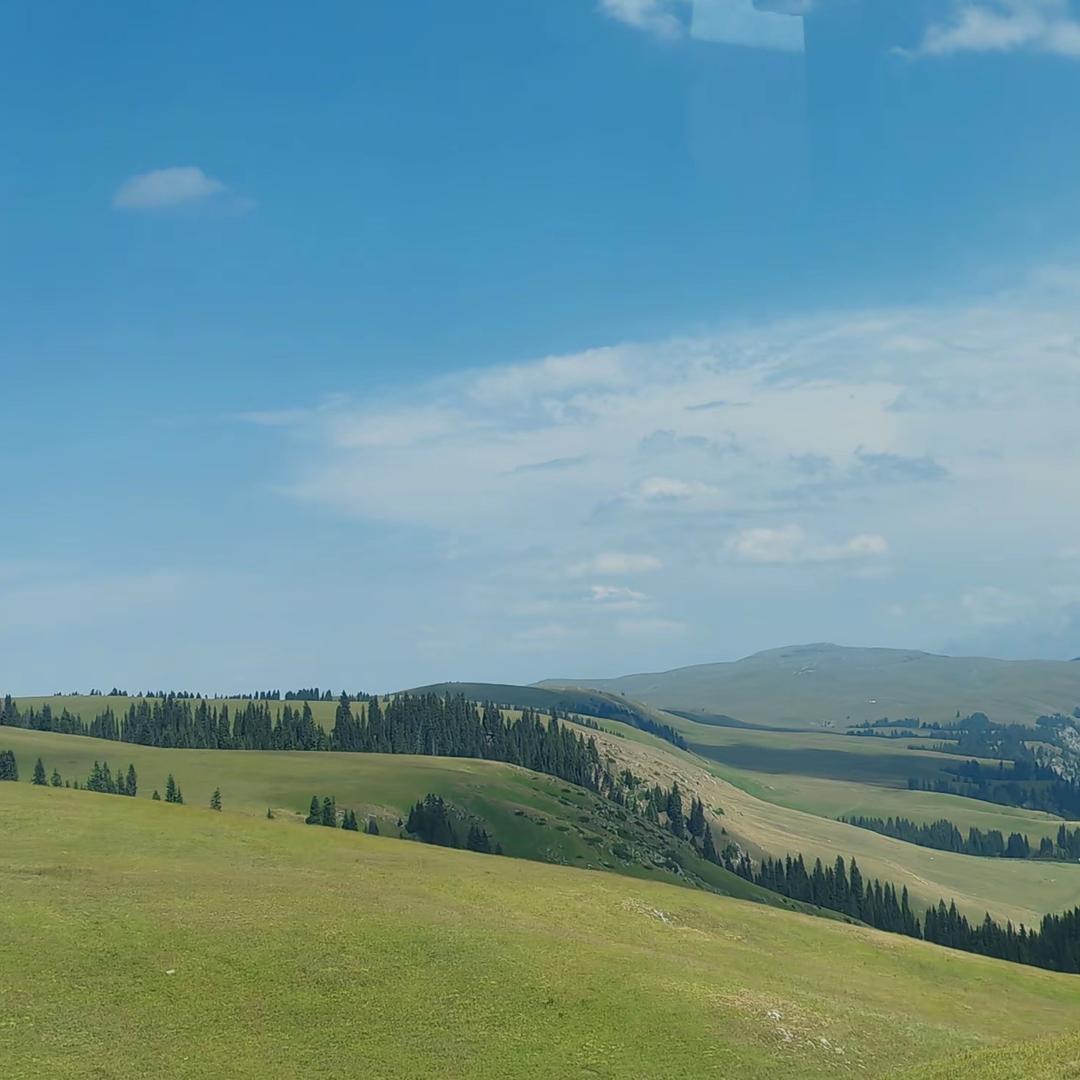 观棋不语特困户