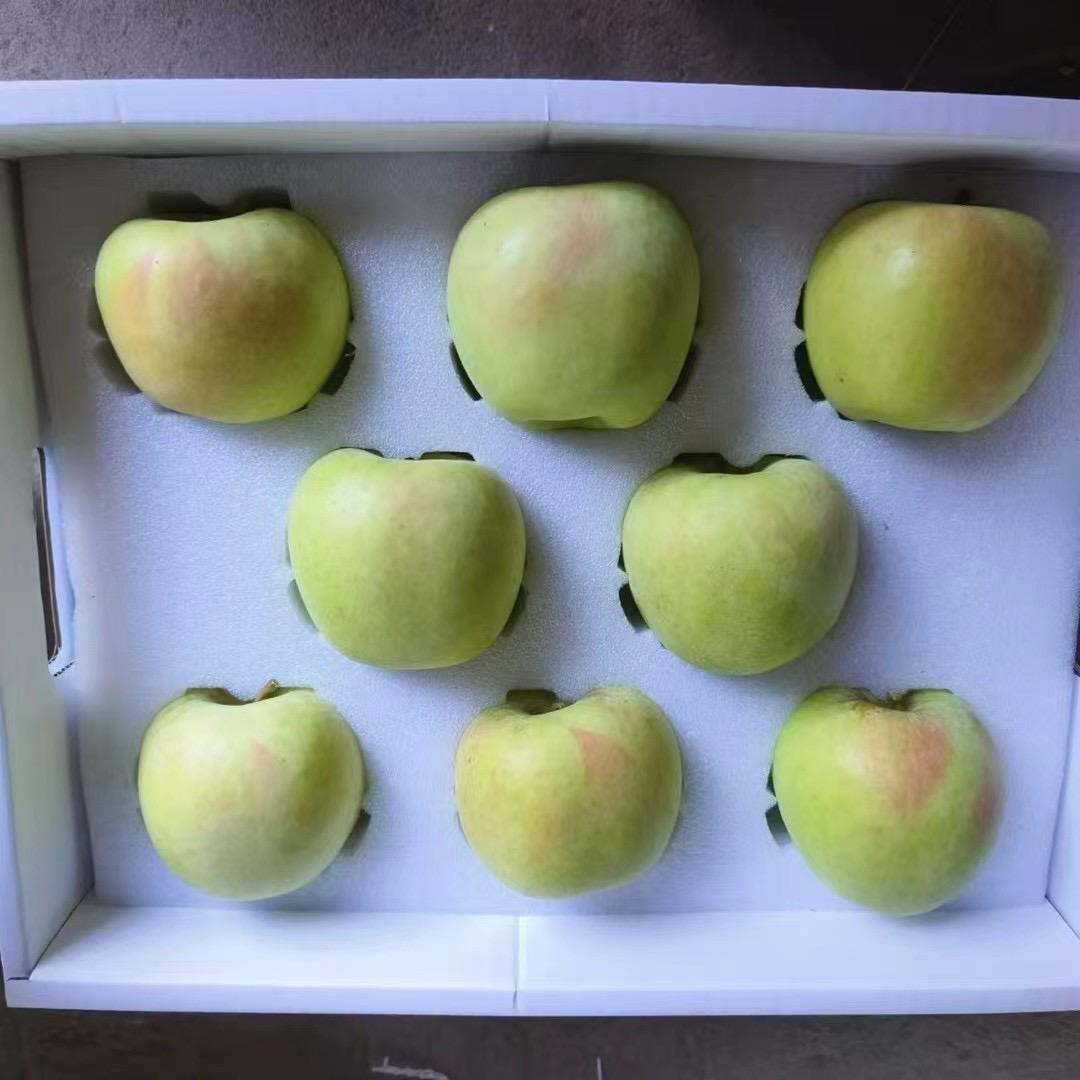 木子生鲜水果
