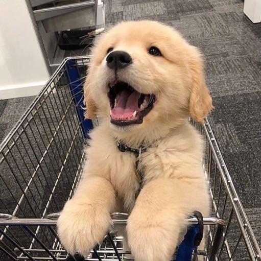 瞬•威士忌吧JOJO