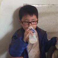 煤球是只猫