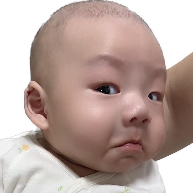 家有小泉泉
