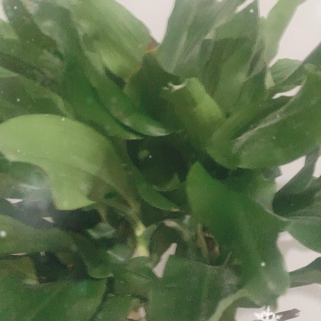 星辰情感1