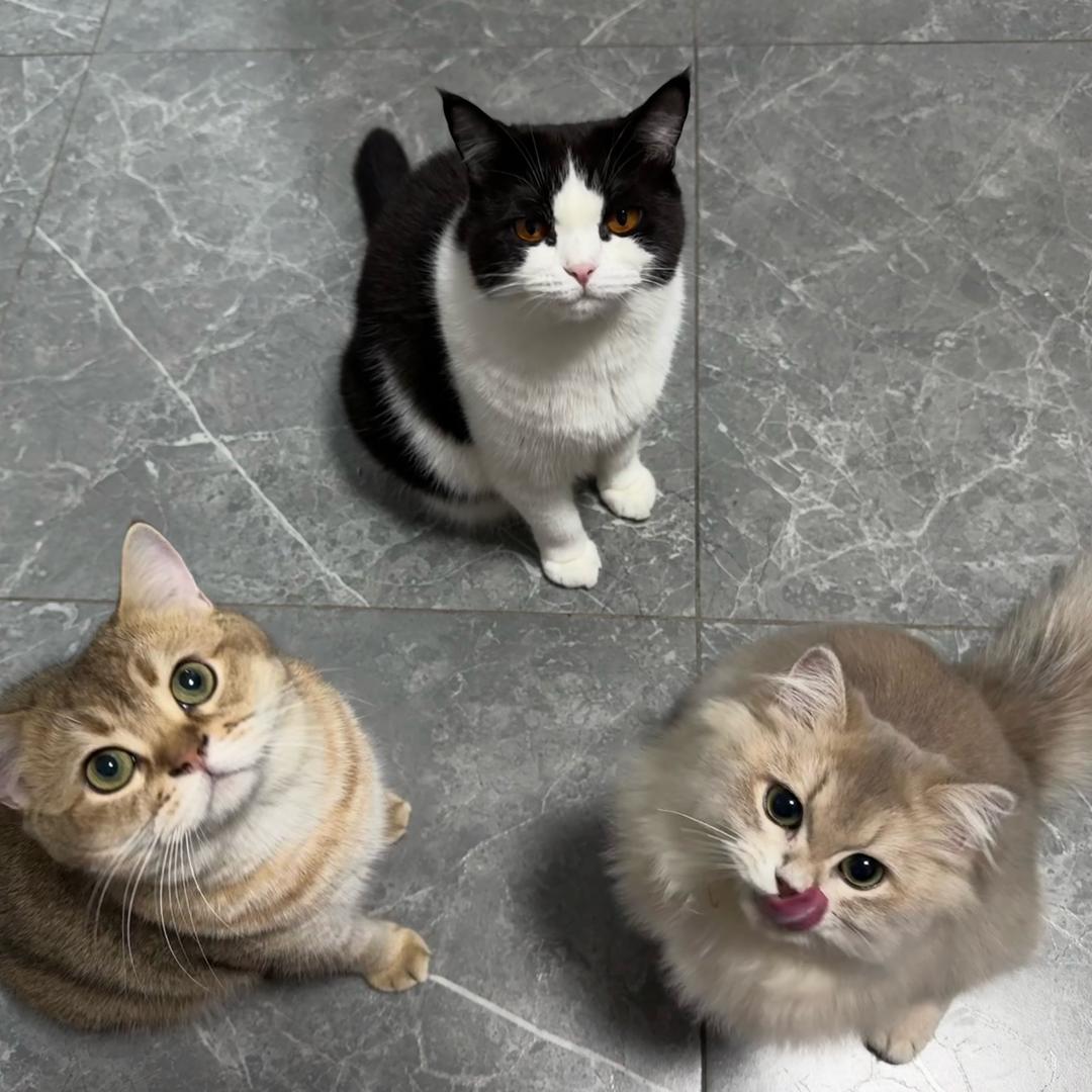 六六🐟小7🌵小8