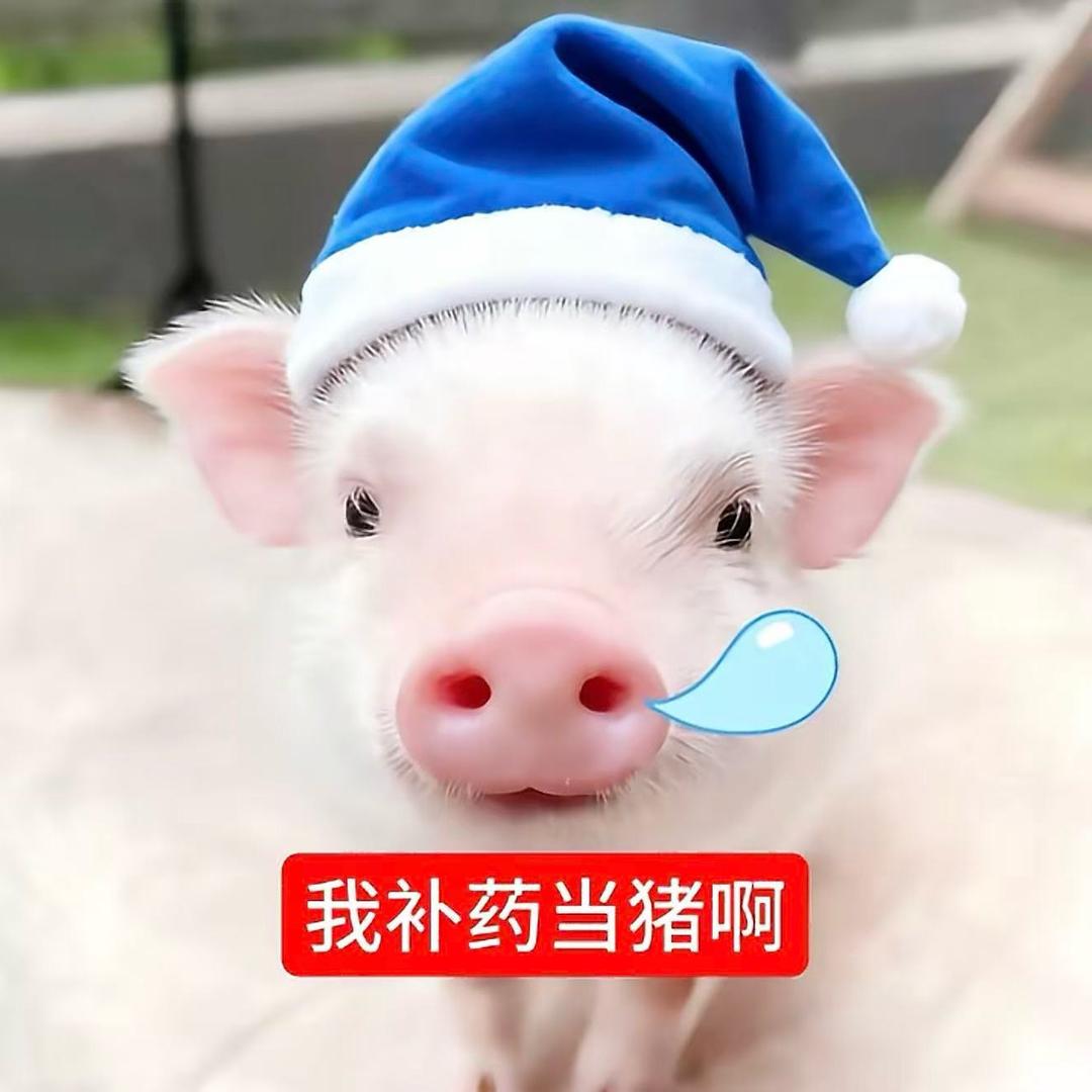 Oweee（见过鹿晗版）