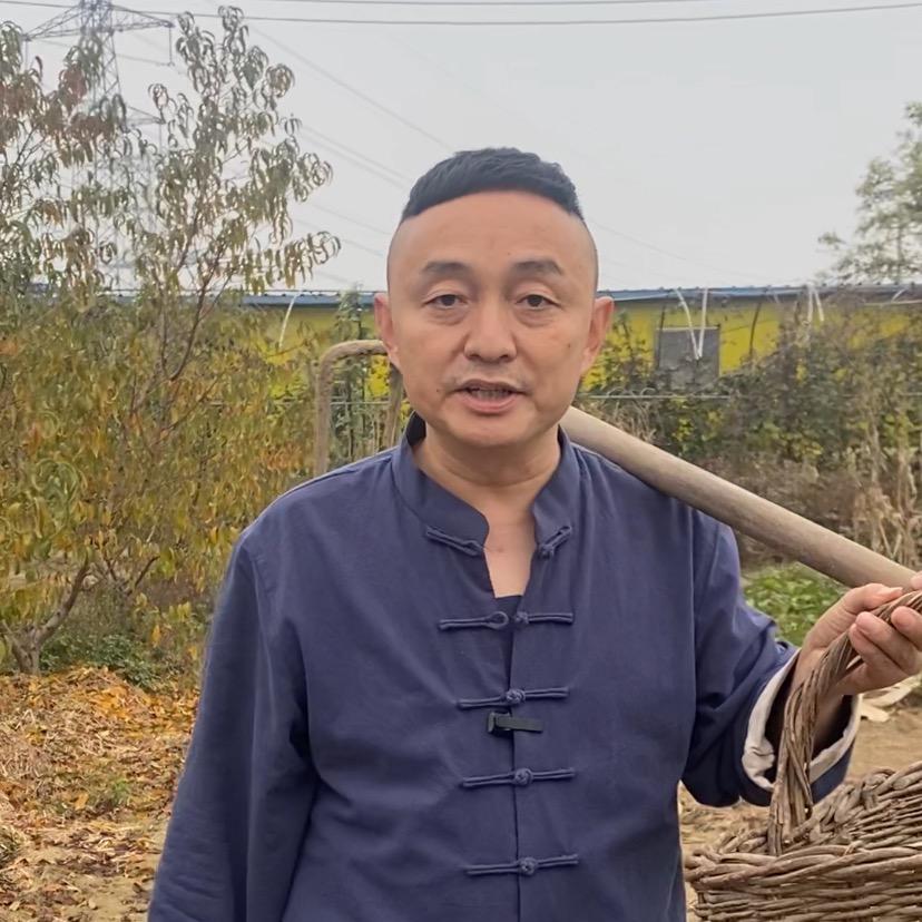 如意当归
