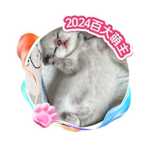 无宗旨喝