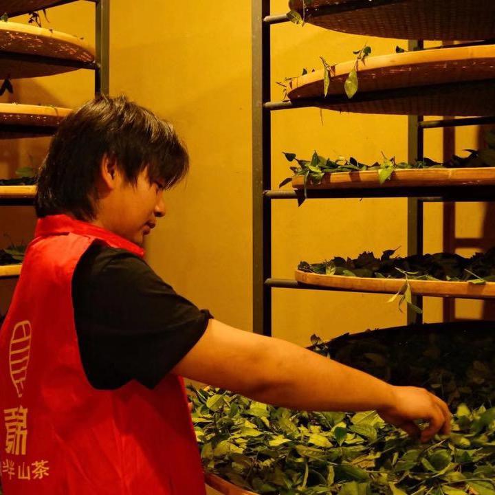 沐熙一叶茶业