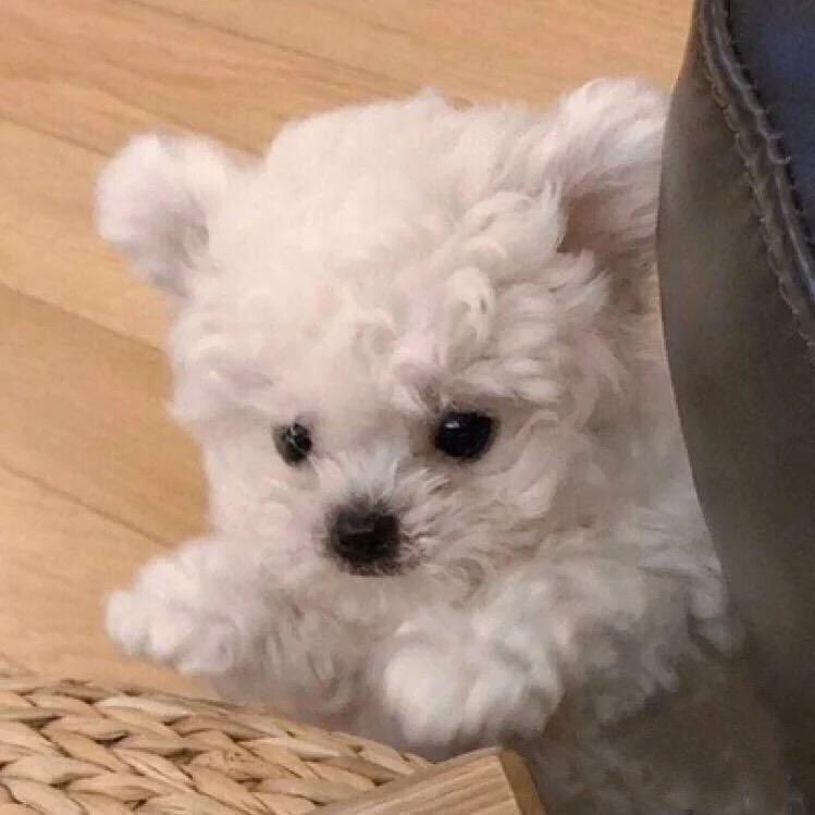 Zzzz.
