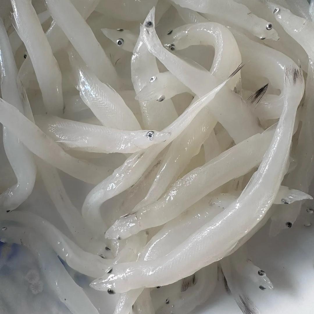 银鱼生鲜码头