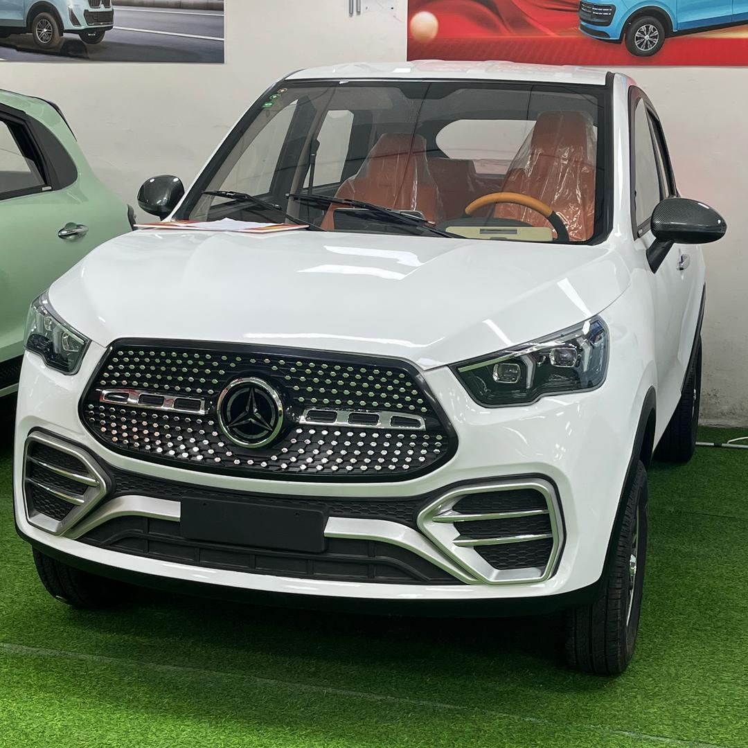 地利新能源代步车厂