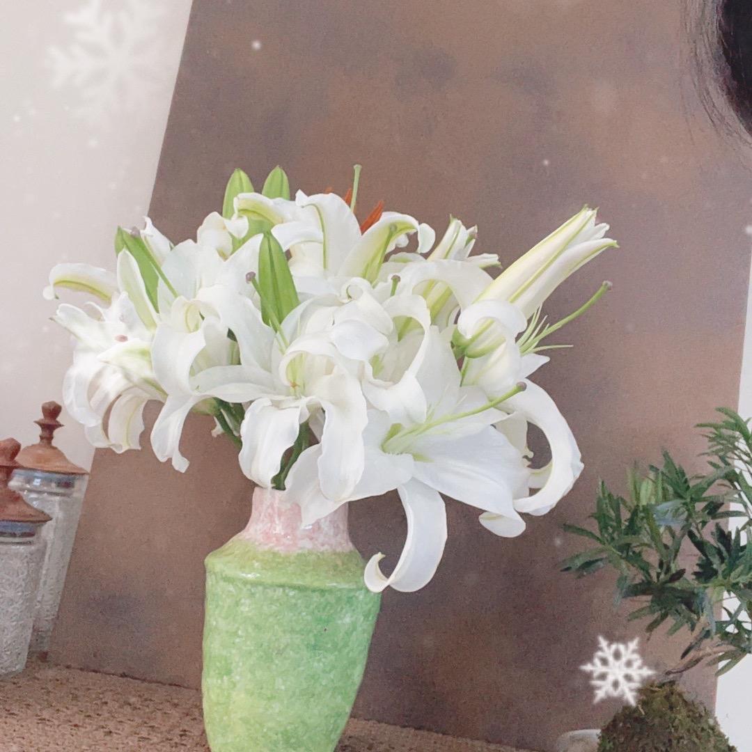 昭禾颜