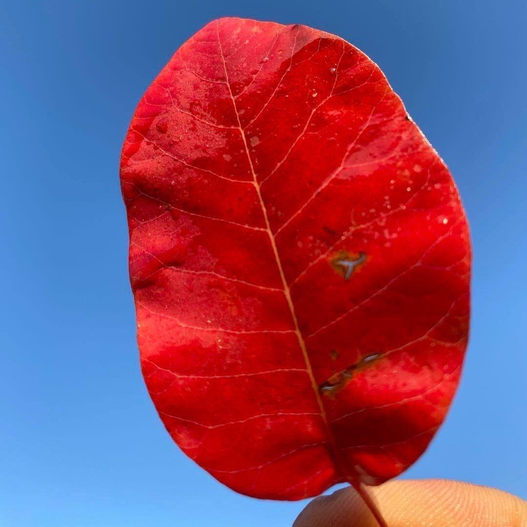 是董非懂