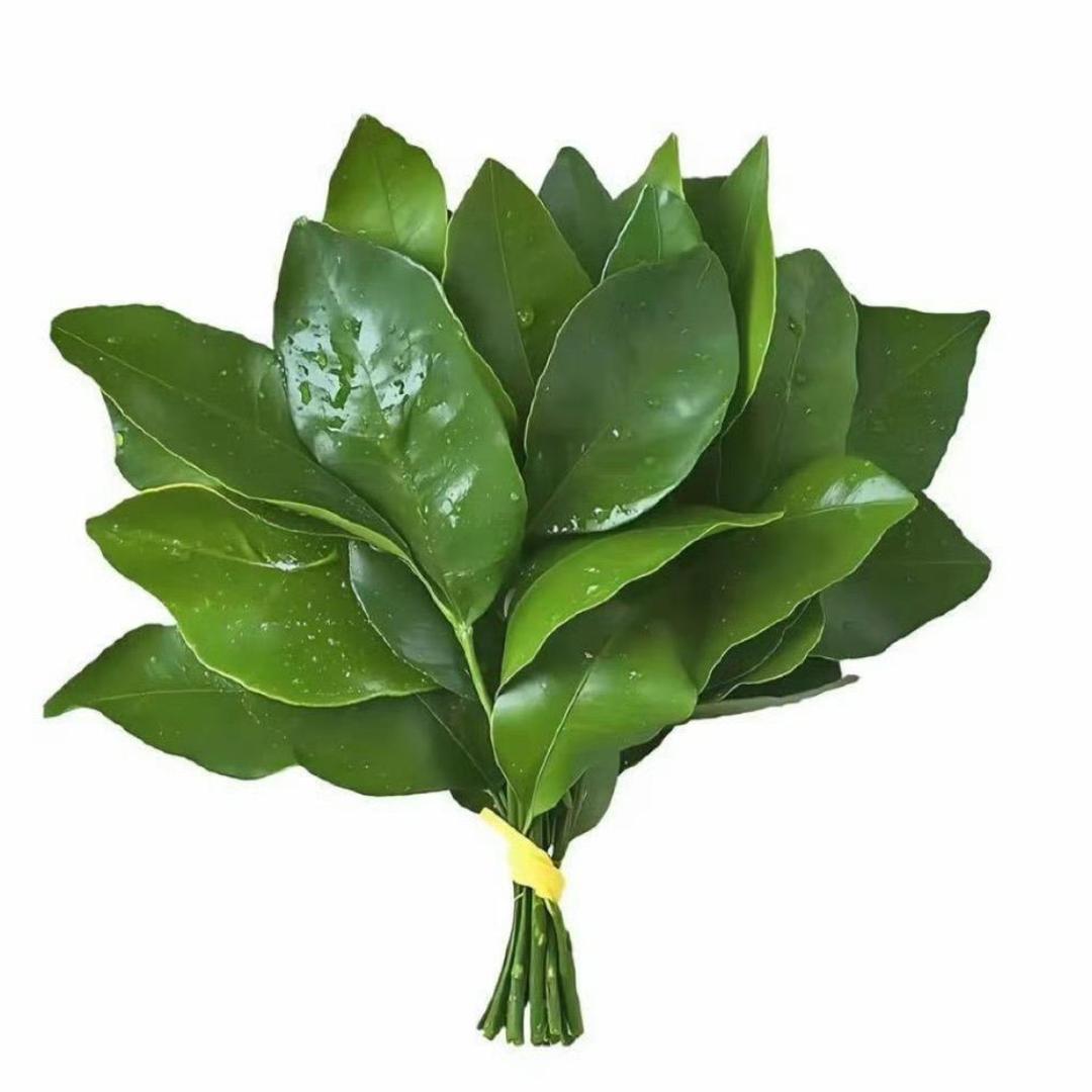 假装s太用力把m打死了