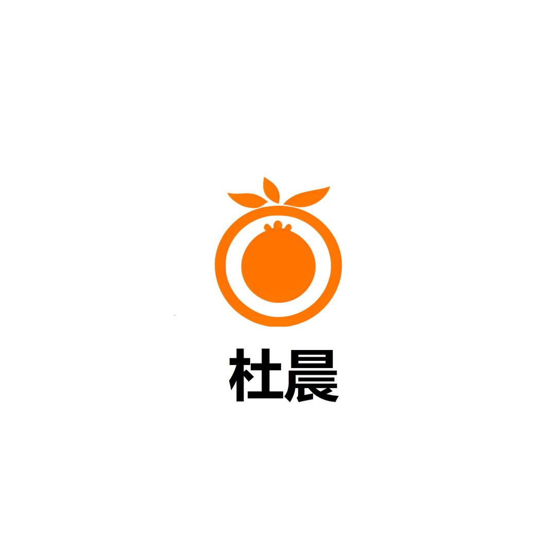杜晨鞋服旗舰店