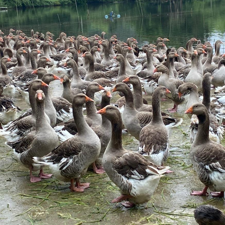 九儿家生态农场