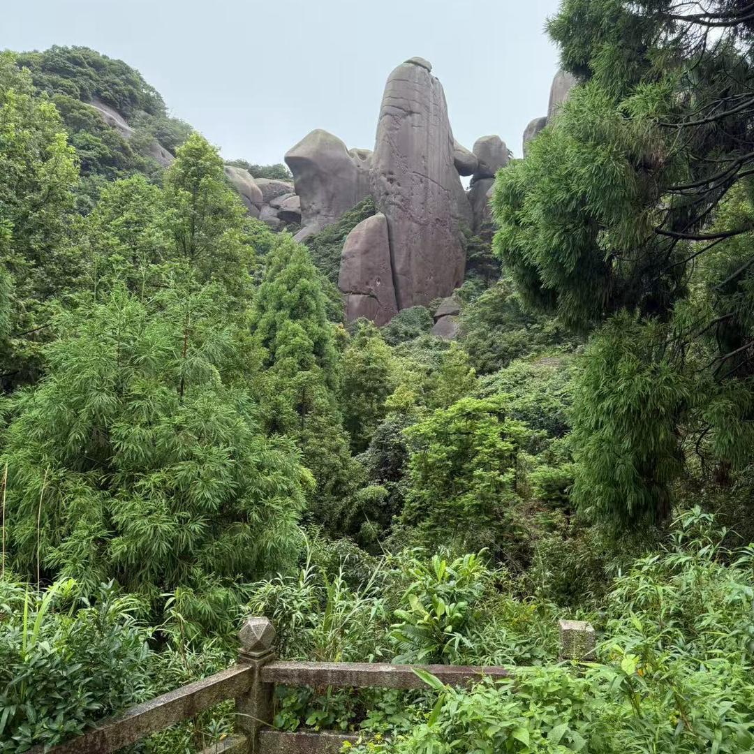沈阳明越鑫零售店